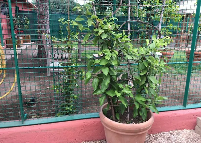 Appia Park 10 Min Dal Colosseo 로마