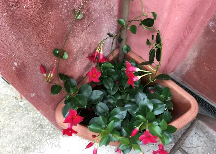 아파트 Appia Park 10 Min Dal Colosseo *